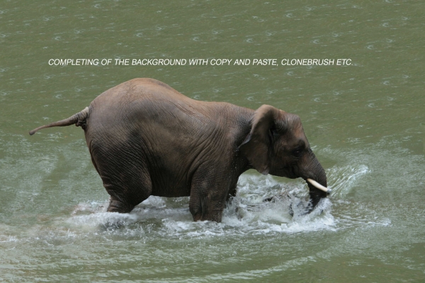 Creation of afraid of water?!: Step 3